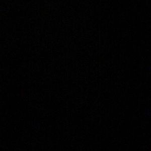 Meet your Posher, Lily